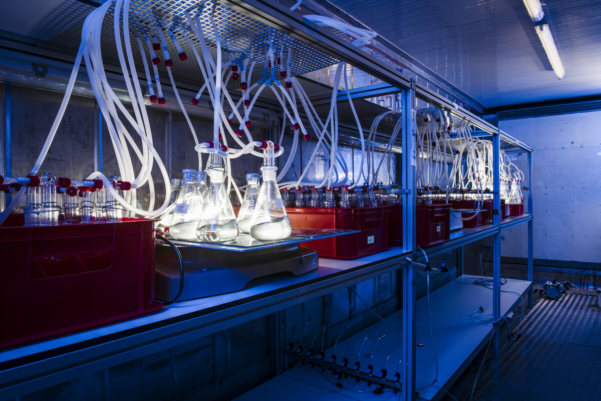 Umweltsimulationsstudien OECD 307/308/309-Studien